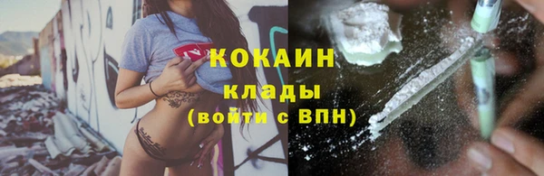 винт Абаза