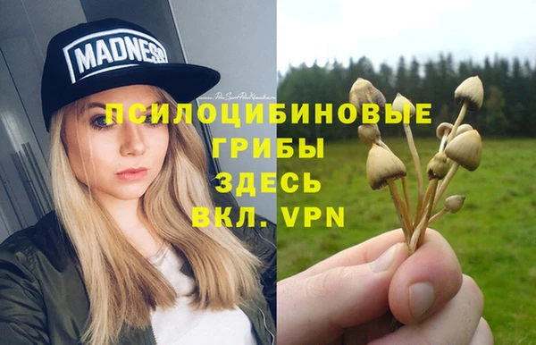 винт Абаза